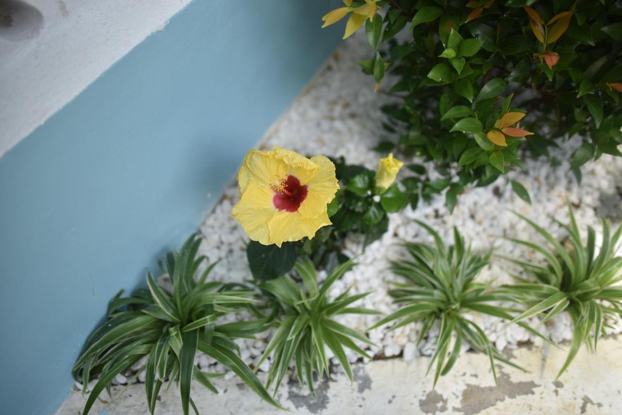 Lovely Homestay Hue Luaran gambar